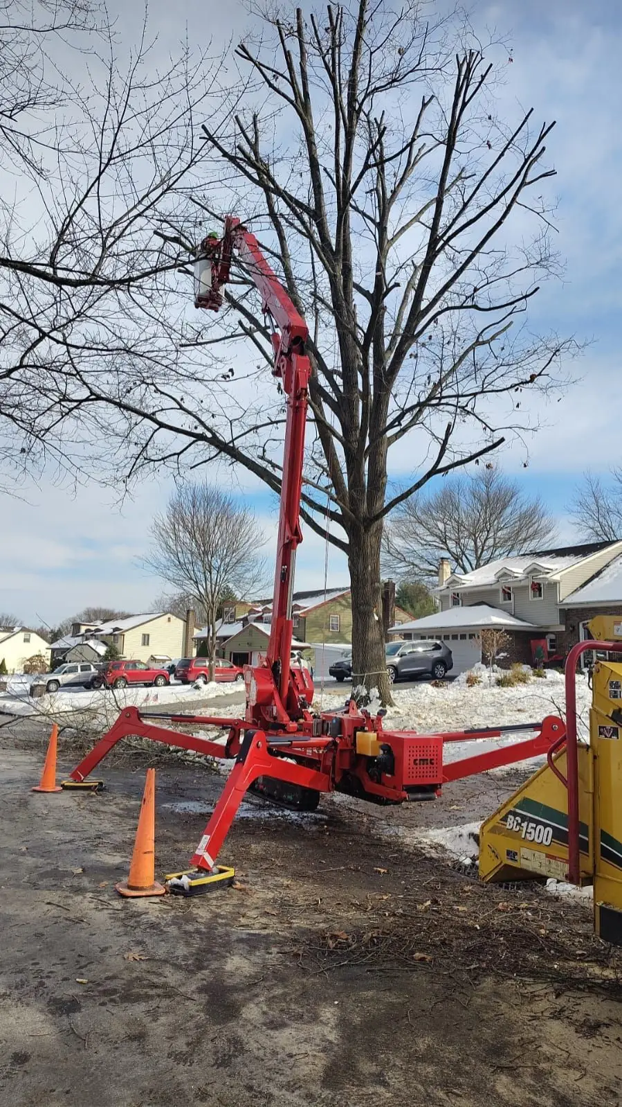 amazon tree inc philadelphia pa 2026 01 26T19:23:30.841129Z 48089 1