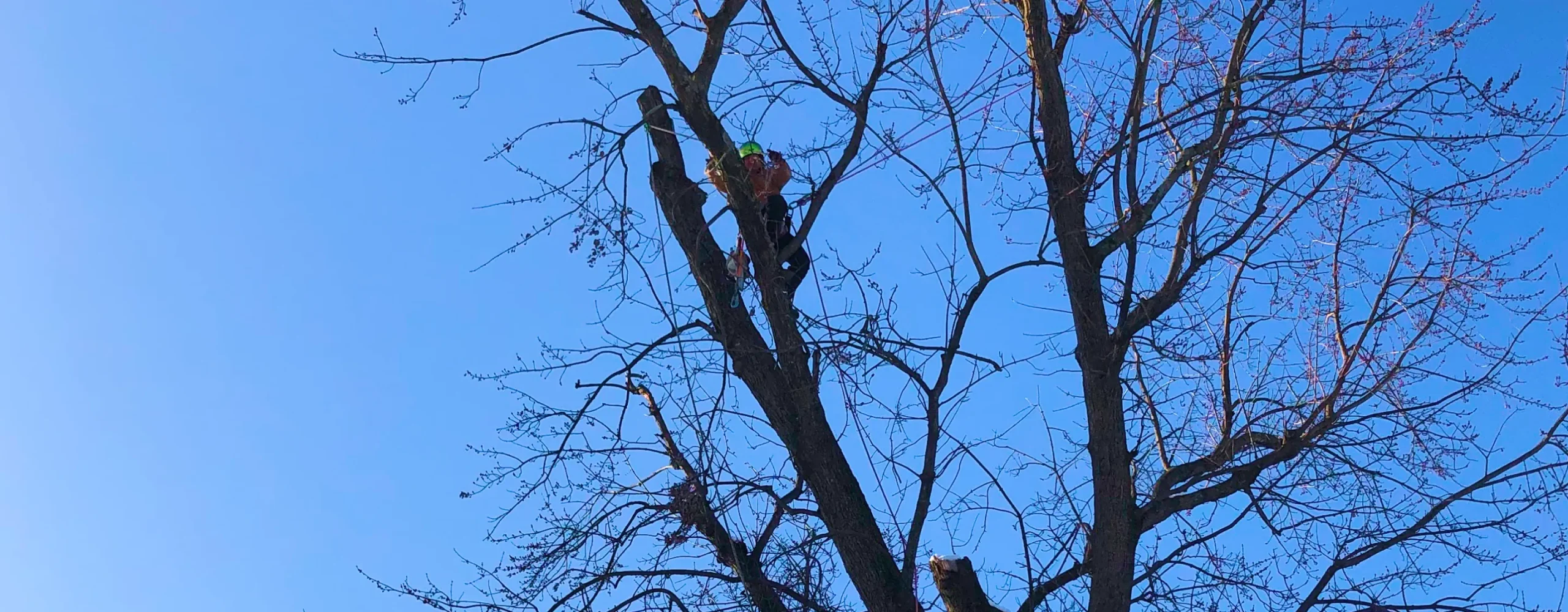 Hero Full Width Frame 1