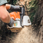 Tree Service Appointment Card